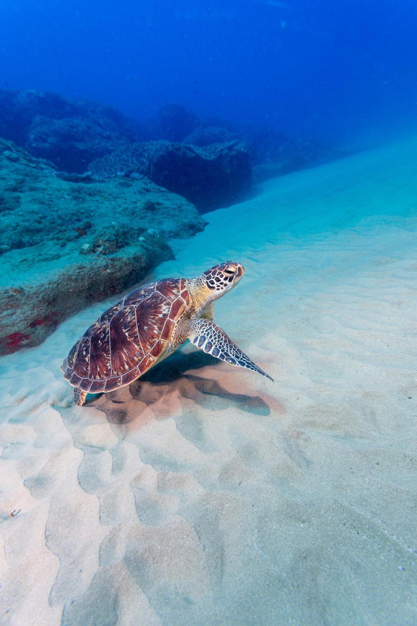 Sodwana Bay Lodge Dive & Fishing Resort Esterno foto