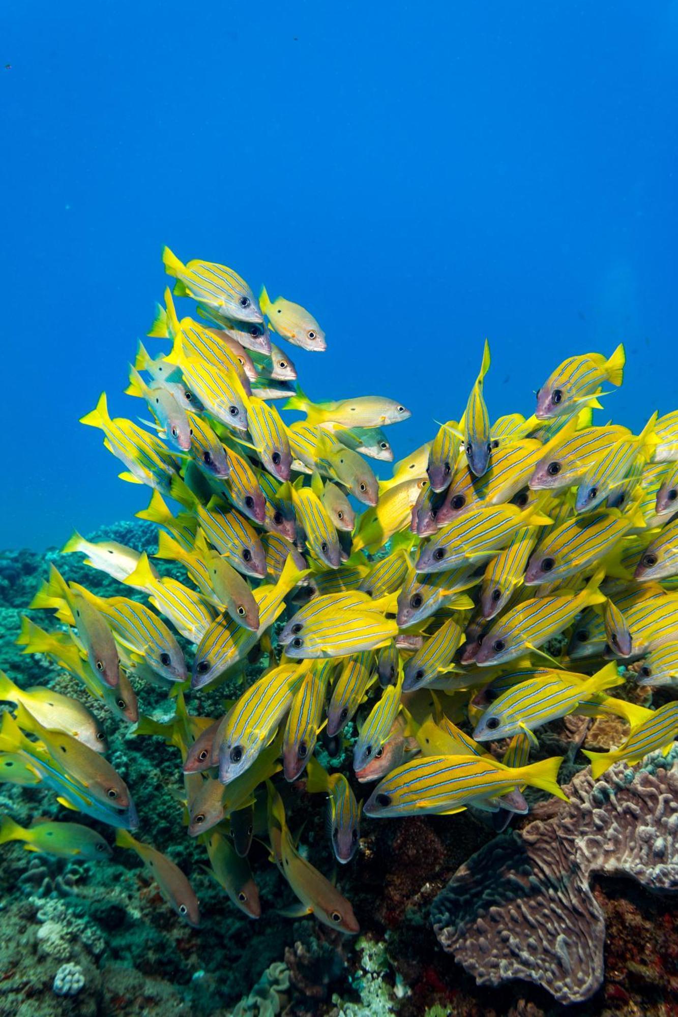 Sodwana Bay Lodge Dive & Fishing Resort Esterno foto