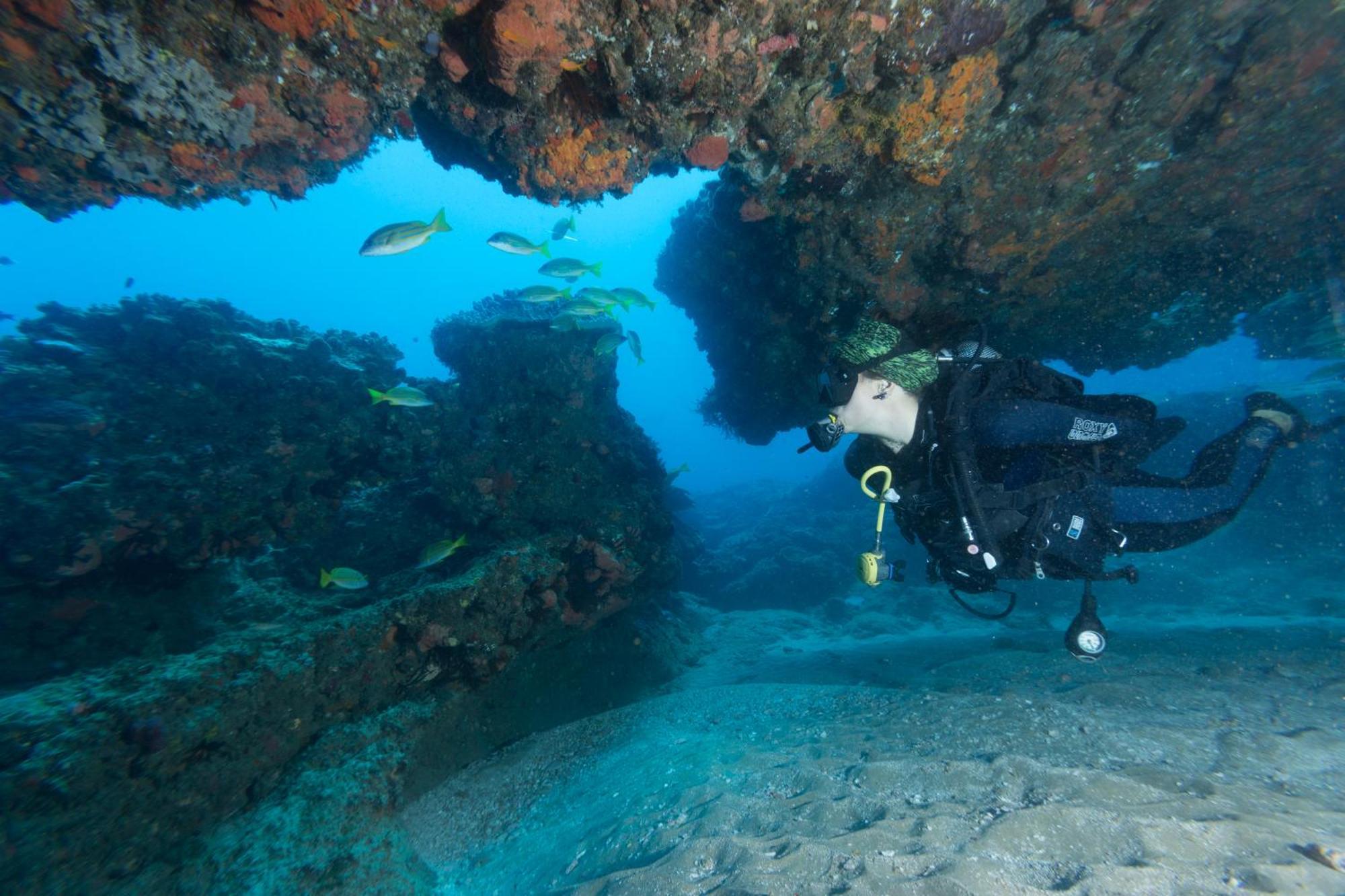 Sodwana Bay Lodge Dive & Fishing Resort Esterno foto