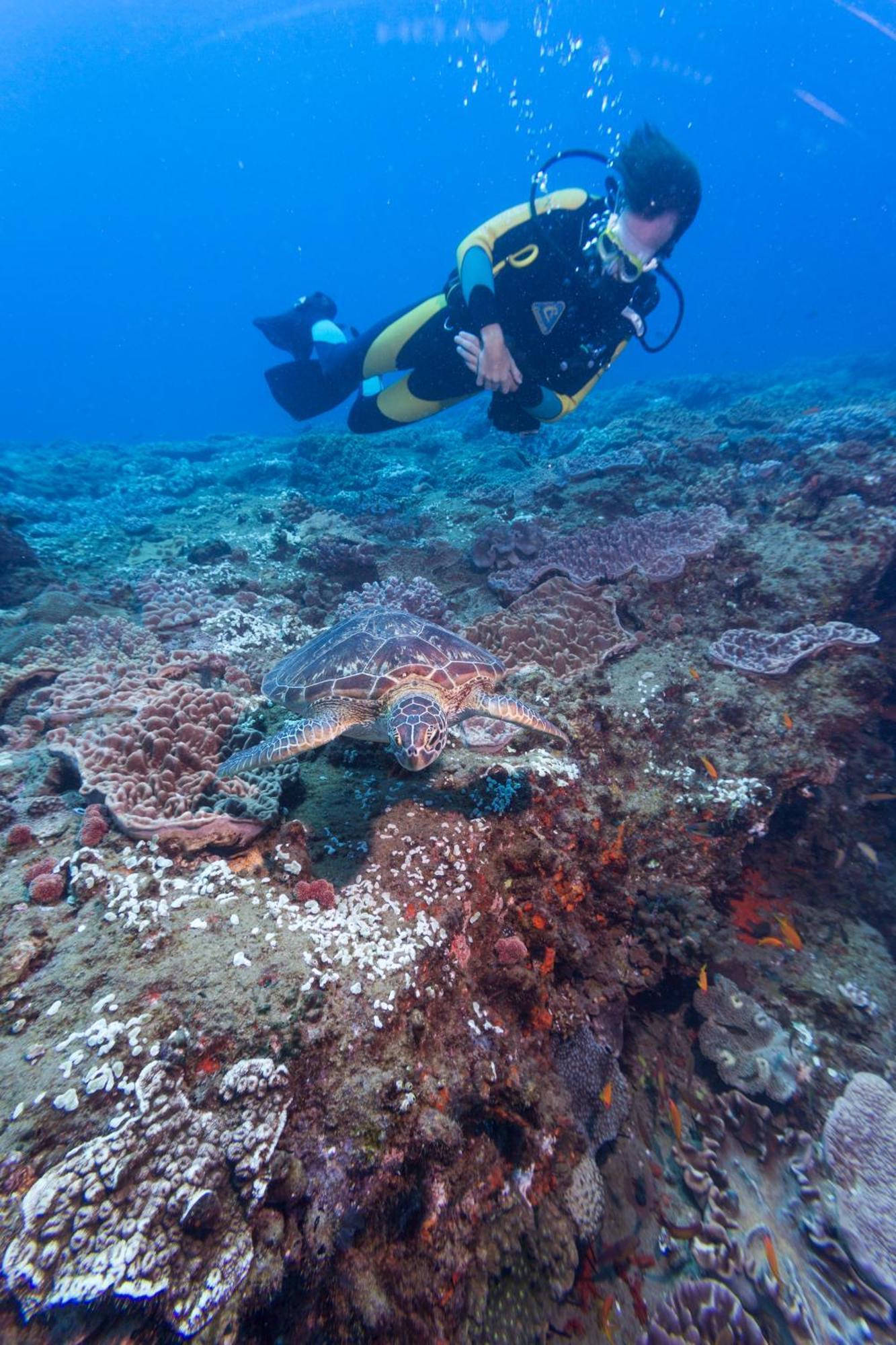 Sodwana Bay Lodge Dive & Fishing Resort Esterno foto